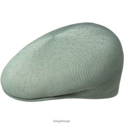 accessoires 8800Z62 Kangol olie groen uniseks tropen 504