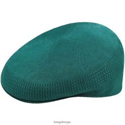 accessoires 8800Z77 Kangol meesters groen uniseks tropen 504 ventair